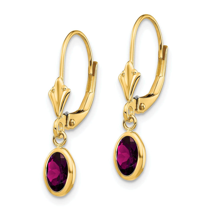 Lovely Rita's Earrings 14k Yellow Gold Polished Rhodolite Garnet Earrings