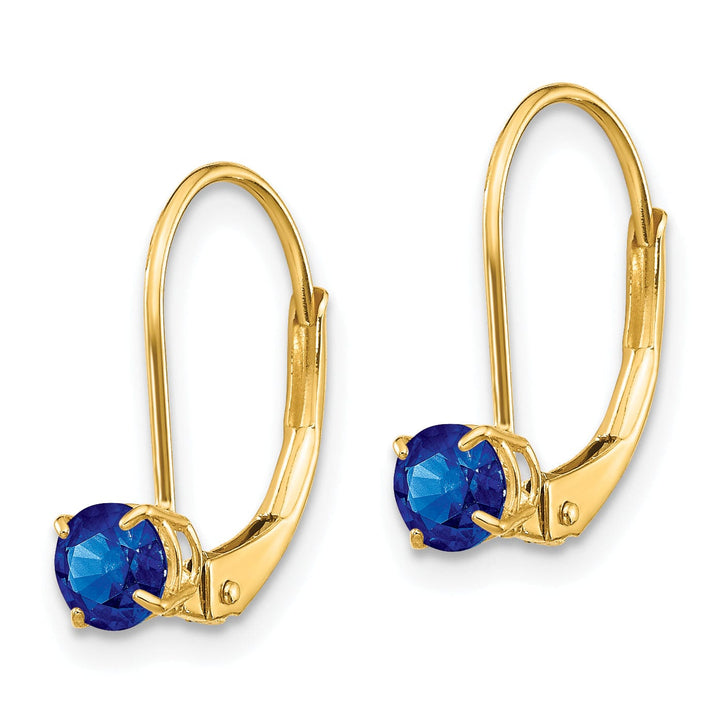 Lovely Rita's Earrings 14k Yellow Gold Sapphire Birthstone Earrings