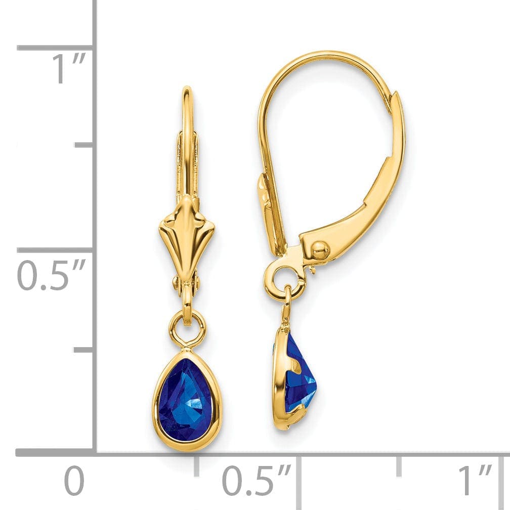 Lovely Rita's Earrings 14k Yellow Gold Sapphire Birthstone Earrings