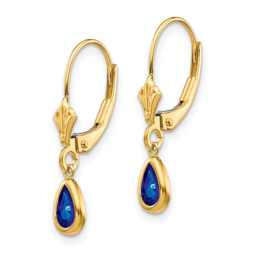 Lovely Rita's Earrings 14k Yellow Gold Sapphire Birthstone Earrings