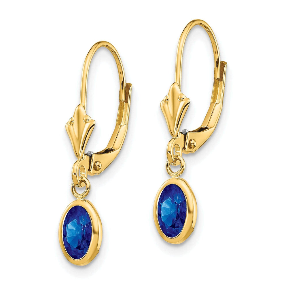 Lovely Rita's Earrings 14k Yellow Gold Sapphire Birthstone Earrings