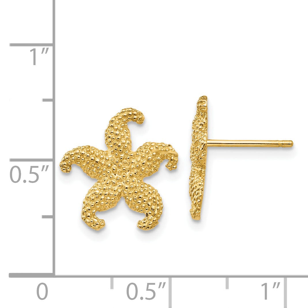 Lovely Rita's Earrings 14k Yellow Gold Starfish Post Earrings