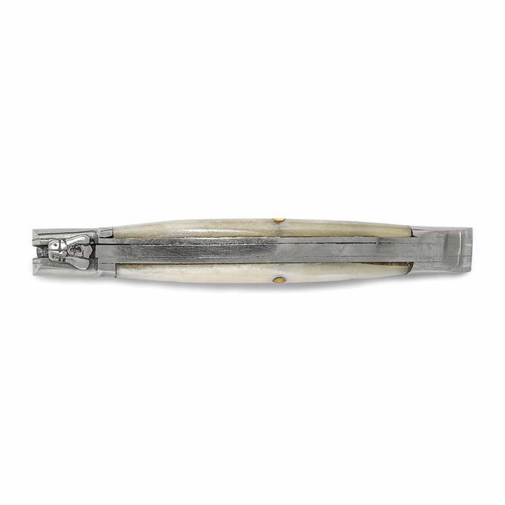 Lovely Rita's Knife Collection Damascus Steel 256 Layer Folding Blade Camel Bone Handle Knife