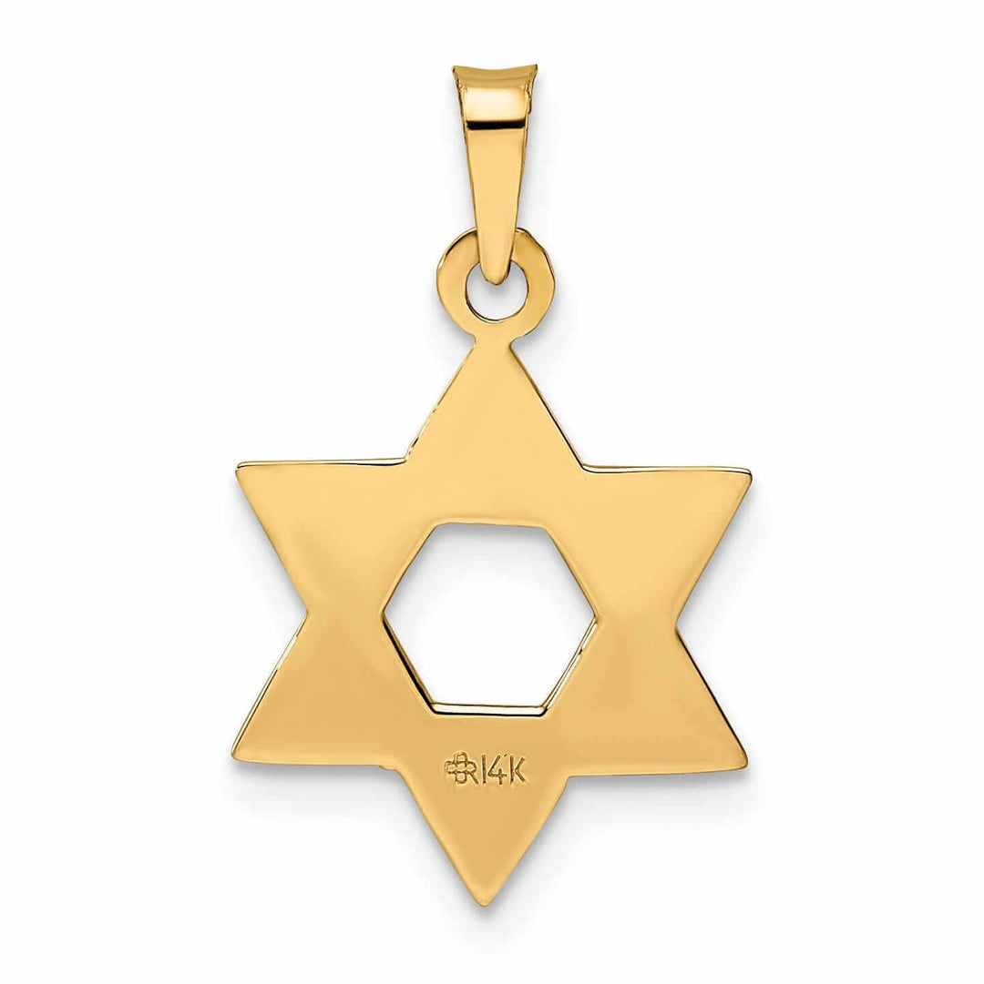 Lovely Rita's Pendants & Charms 14K Rose Gold Polished Finish Solid Unisex Star of David Pendant