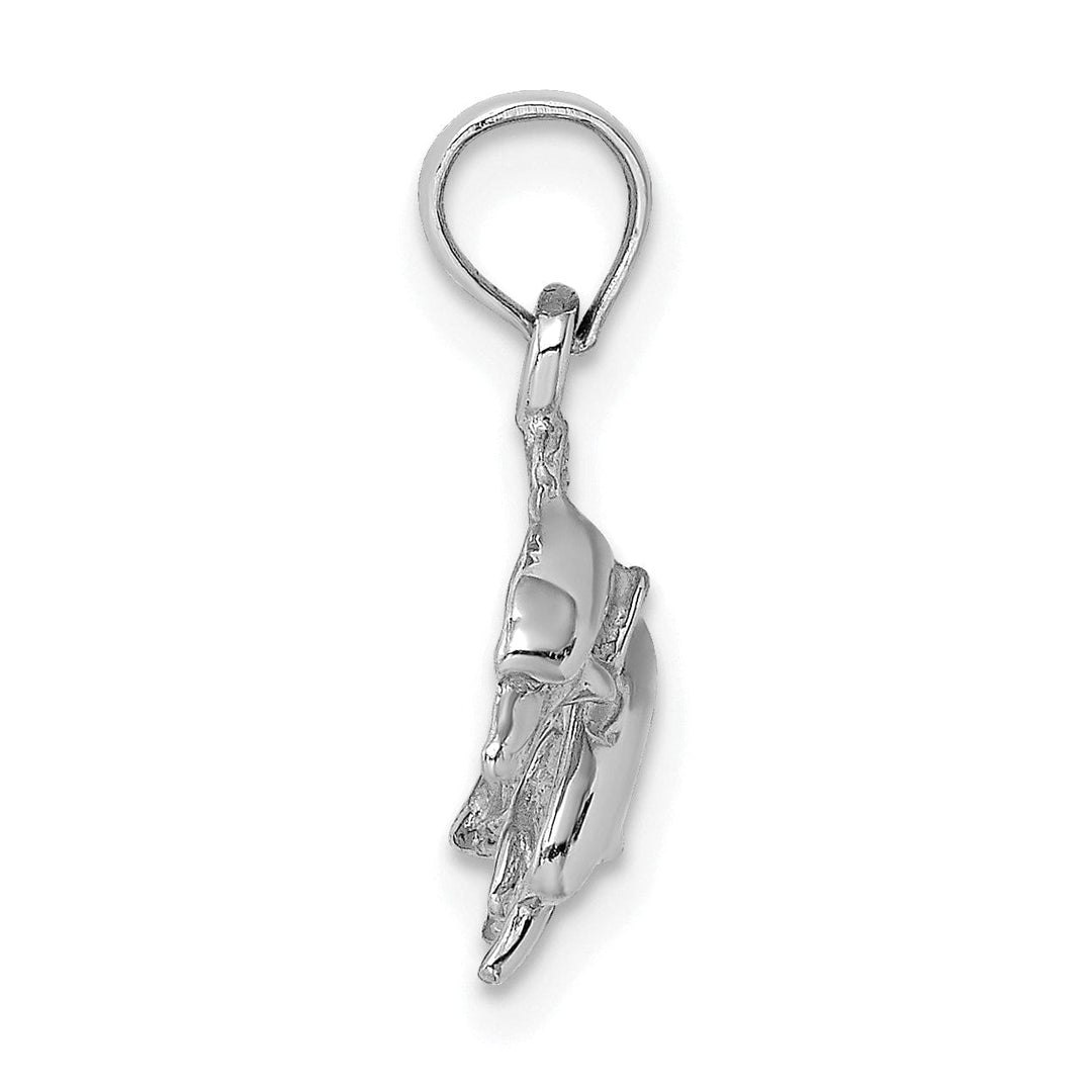 Lovely Rita's Pendants & Charms 14K White Gold 2-Dimensional Textured Polished Finish Double Dolphins Jumping Left Sided Charm Pendant