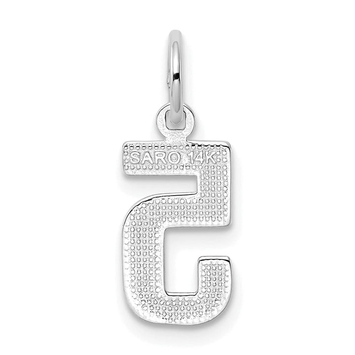 Lovely Rita's Pendants & Charms 14k White Gold Polished Finish Small Size Number 5 Charm Pendant