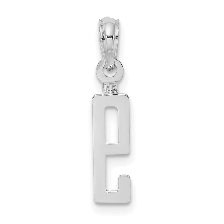 Lovely Rita's Pendants & Charms 14K White Gold Polished Finished Block Script Design Number 9 Charm Pendant