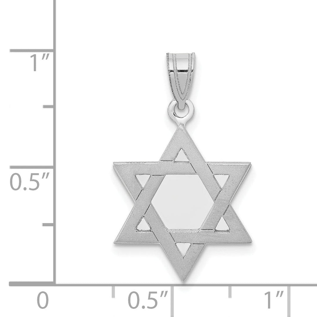 Lovely Rita's Pendants & Charms 14K White Gold Polished Satin Finish Flat Back Star of David Pendant
