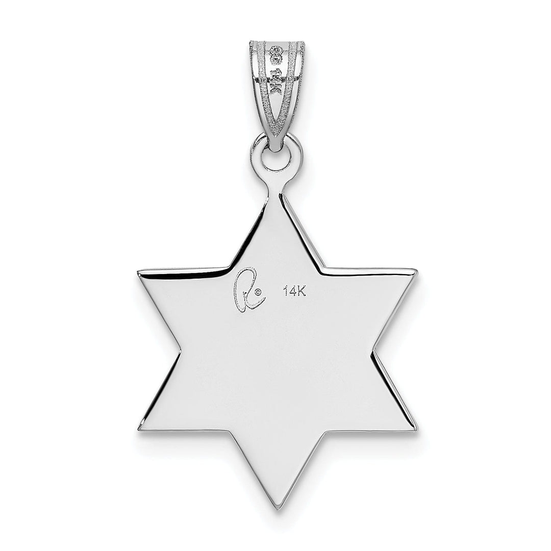 Lovely Rita's Pendants & Charms 14K White Gold Polished Satin Finish Flat Back Star of David Pendant