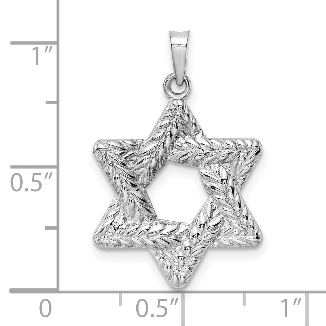 Lovely Rita's Pendants & Charms 14K White Gold Polished Texture Finish Unisex Star Of David Pendant