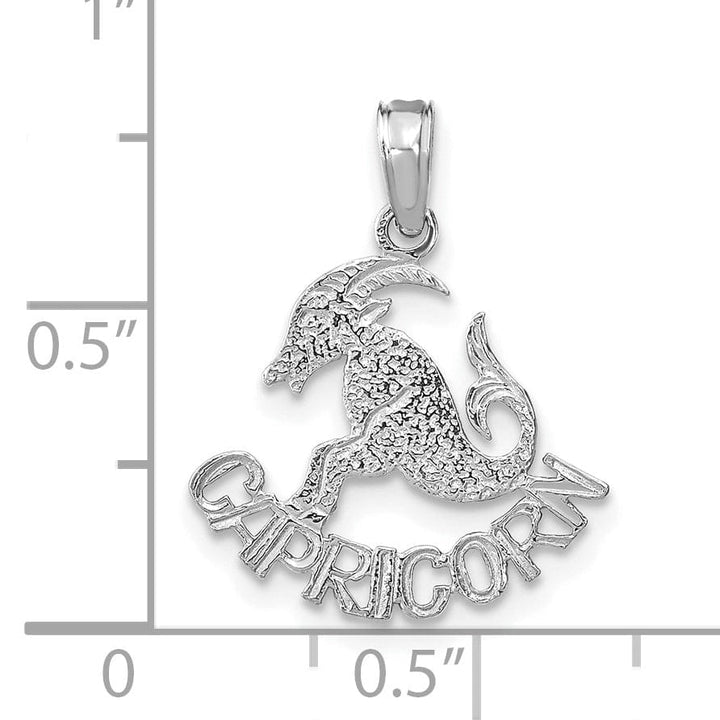 Lovely Rita's Pendants & Charms 14K White Gold Polished Textured Finish Zodiac CAPRICORN Charm Pendant