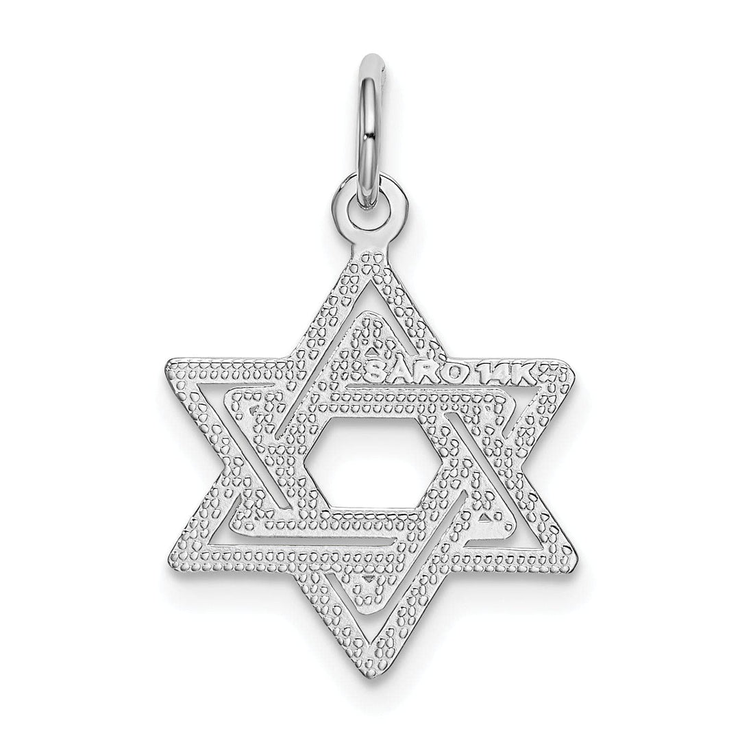 Lovely Rita's Pendants & Charms 14K White Gold Rhodium Polished Finish Closed Back Solid Star of David Pendant