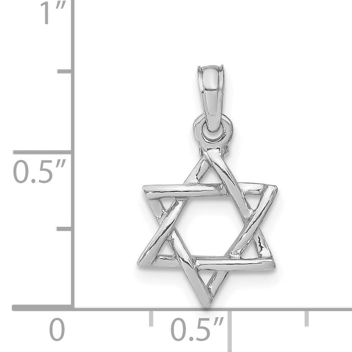 Lovely Rita's Pendants & Charms 14k White Gold Rholdium Polish Finish 3-D Star of David Charm Pendant