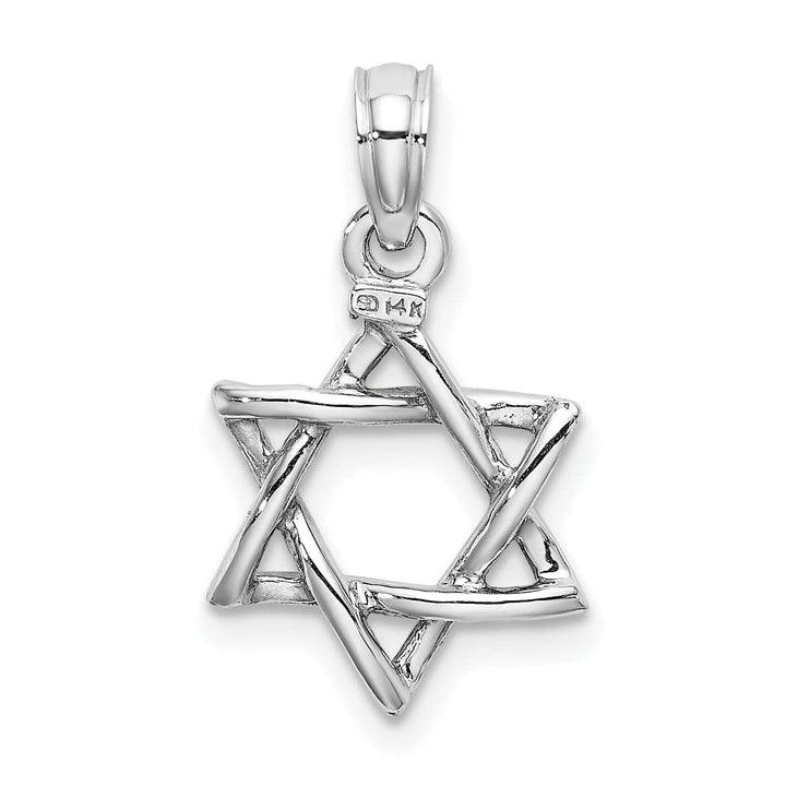 Lovely Rita's Pendants & Charms 14k White Gold Rholdium Polish Finish 3-D Star of David Charm Pendant