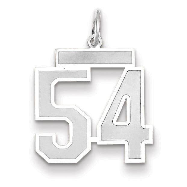 Lovely Rita's Pendants & Charms 14k White Gold Satin Brush Finish Medium Size Number 54 Charm Pendant