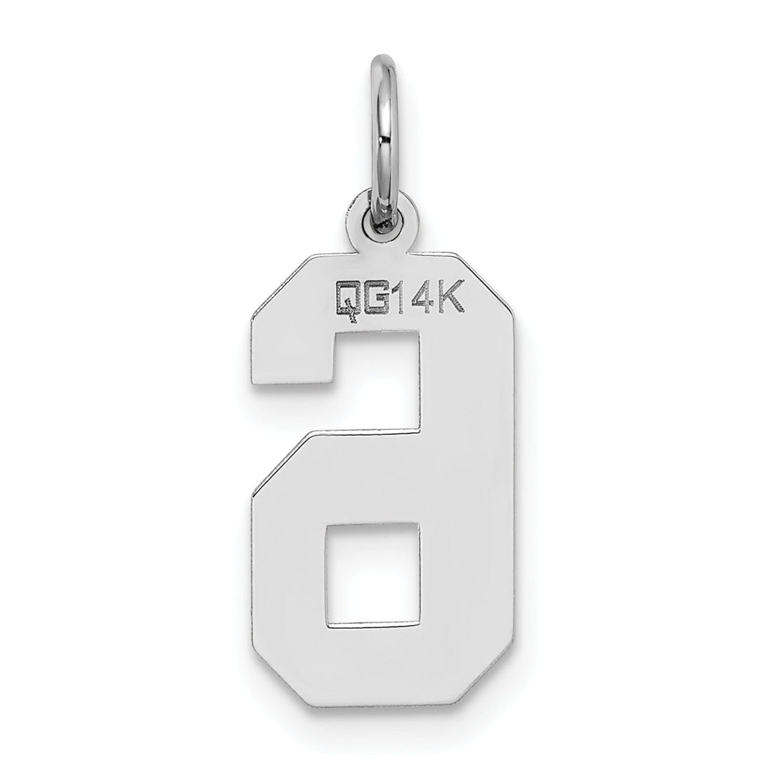 Lovely Rita's Pendants & Charms 14k White Gold Satin Brush Finish Medium Size Number 6 Charm Pendant