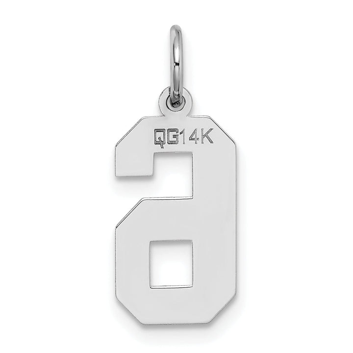Lovely Rita's Pendants & Charms 14k White Gold Satin Brush Finish Medium Size Number 6 Charm Pendant