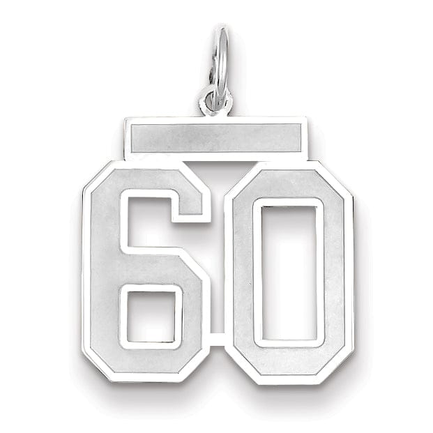 Lovely Rita's Pendants & Charms 14k White Gold Satin Brush Finish Medium Size Number 60 Charm Pendant