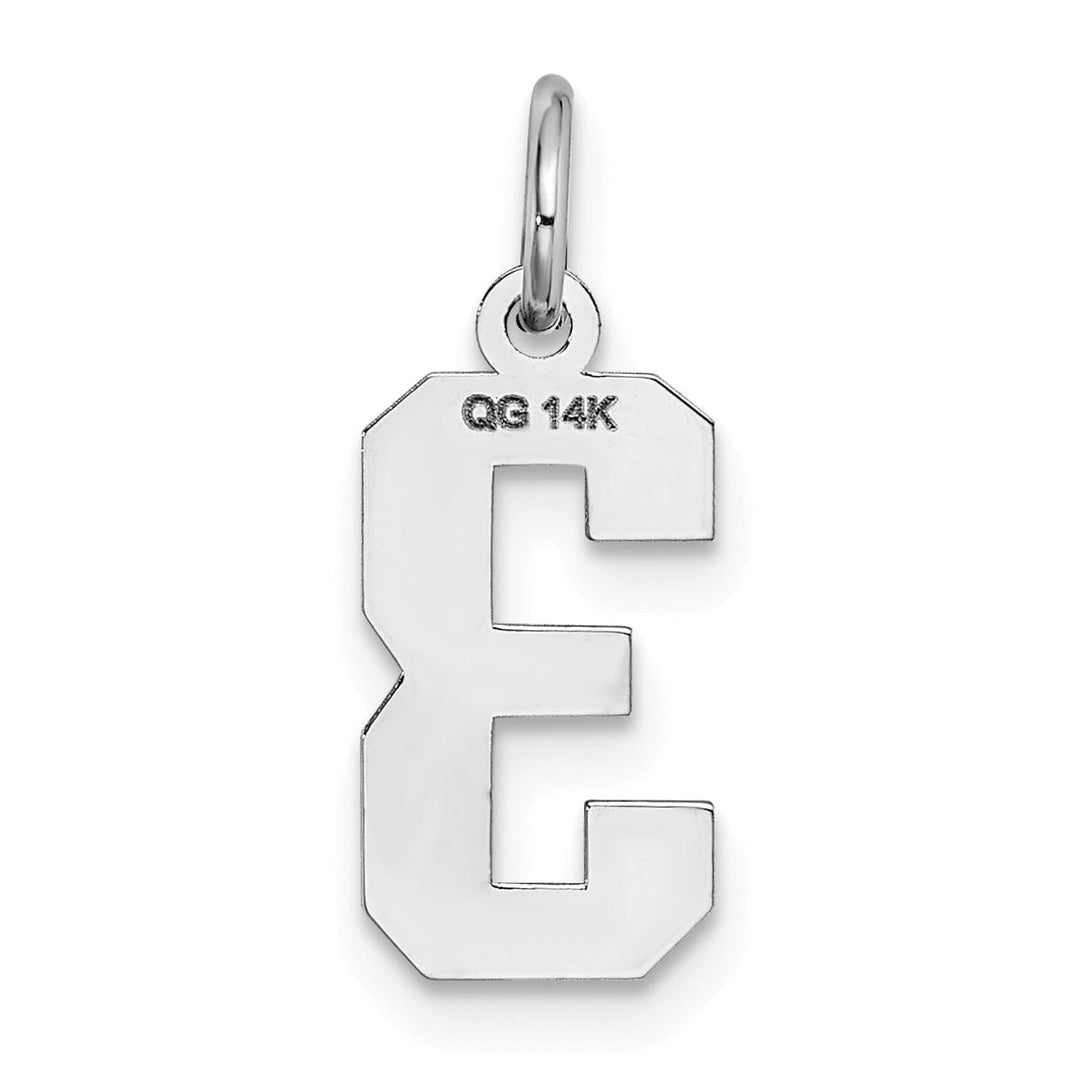 Lovely Rita's Pendants & Charms 14k White Gold Satin Brush Finish Small Size Number 3 Charm Pendant
