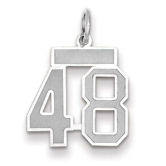 Lovely Rita's Pendants & Charms 14k White Gold Satin Brush Finish Small Size Number 48 Charm Pendant