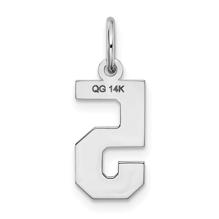 Lovely Rita's Pendants & Charms 14k White Gold Satin Brush Finish Small Size Number 5 Charm Pendant