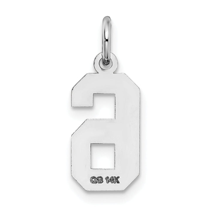 Lovely Rita's Pendants & Charms 14k White Gold Satin Brush Finish Small Size Number 6 Charm Pendant