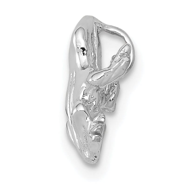 Lovely Rita's Pendants & Charms 14k White Gold Solid Polished Finish 3-Dimensional Frog Charm Pendant