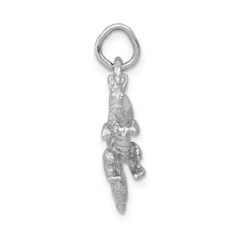 Lovely Rita's Pendants & Charms 14k White Gold Solid Polished Textured Finish 3-Dimensional Dragon Design Charm Pendant