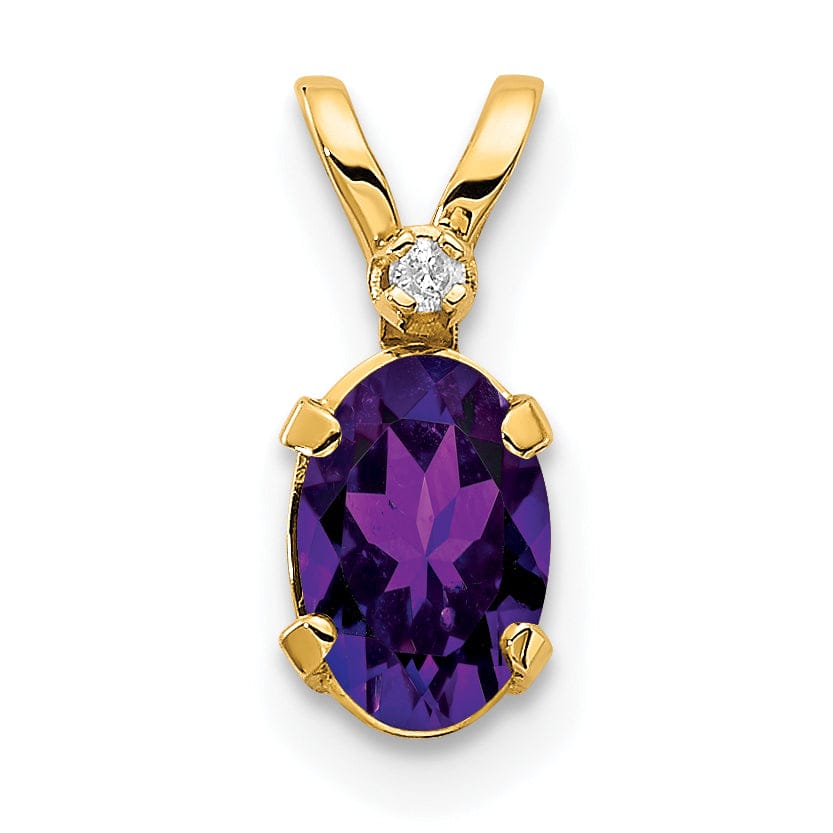 Lovely Rita's Pendants & Charms 14k Yellow Gold Amethyst Birthstone Pendant