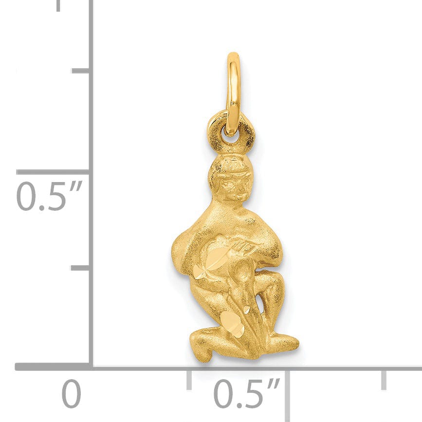 Lovely Rita's Pendants & Charms 14k Yellow Gold Aquarius Zodiac Charm Pendant
