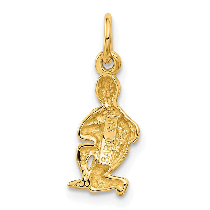 Lovely Rita's Pendants & Charms 14k Yellow Gold Aquarius Zodiac Charm Pendant