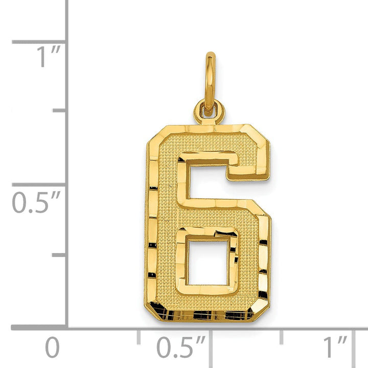 Lovely Rita's Pendants & Charms 14k Yellow Gold Diamond Cut Texture Finish Large Size Number 6 Charm Pendant
