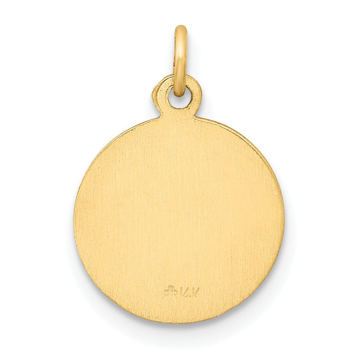 Lovely Rita's Pendants & Charms 14k Yellow Gold Lady Of The Assumption Medal