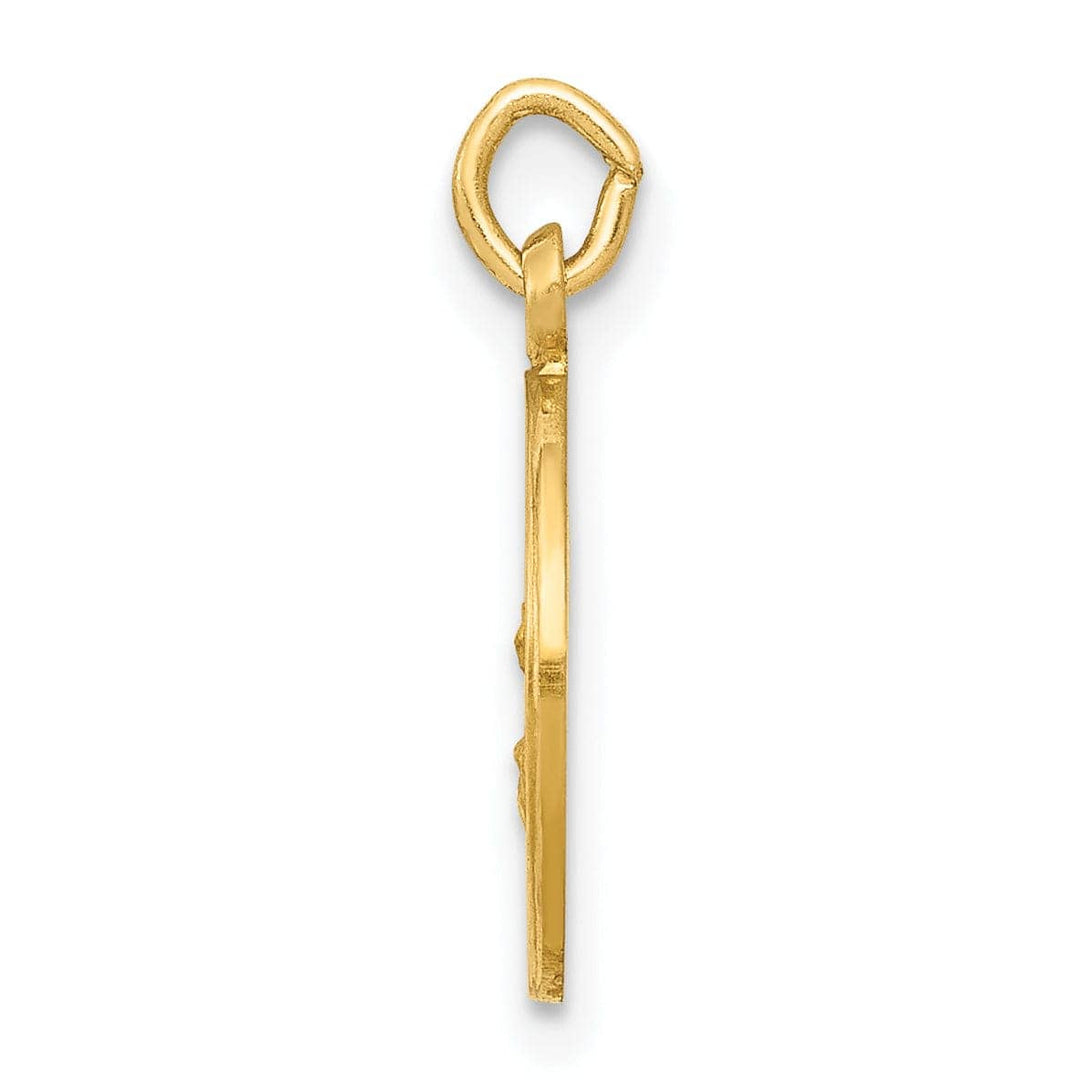 Lovely Rita's Pendants & Charms 14k Yellow Gold Lady Of The Assumption Medal