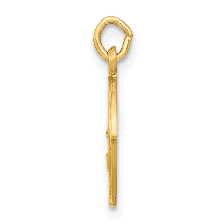 Lovely Rita's Pendants & Charms 14k Yellow Gold Lady Of The Assumption Medal