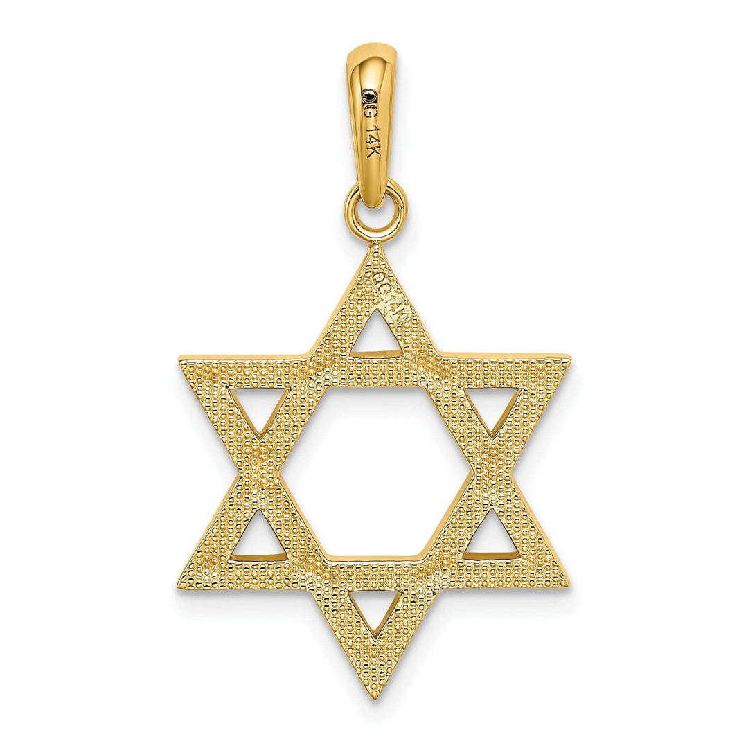 Lovely Rita's Pendants & Charms 14K Yellow Gold Polish Finish Closed Back Star of David Charm Pendant