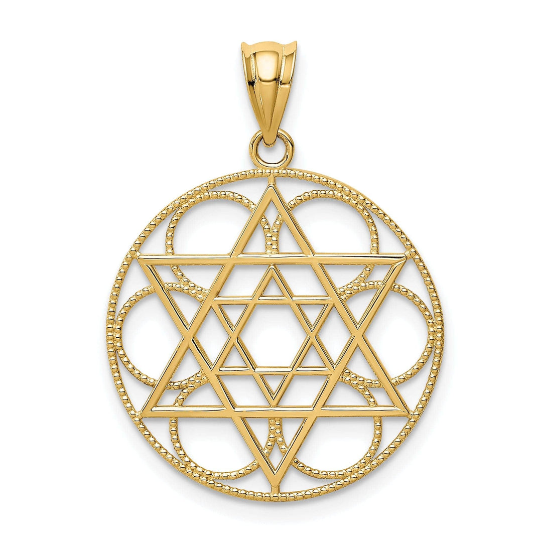 Lovely Rita's Pendants & Charms 14k Yellow Gold Polish Finish Star of David with Circle Design Pendant