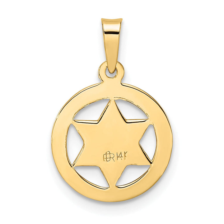 Lovely Rita's Pendants & Charms 14K Yellow Gold Polish Frame Finish Unisex Star Of David Charm Pendant