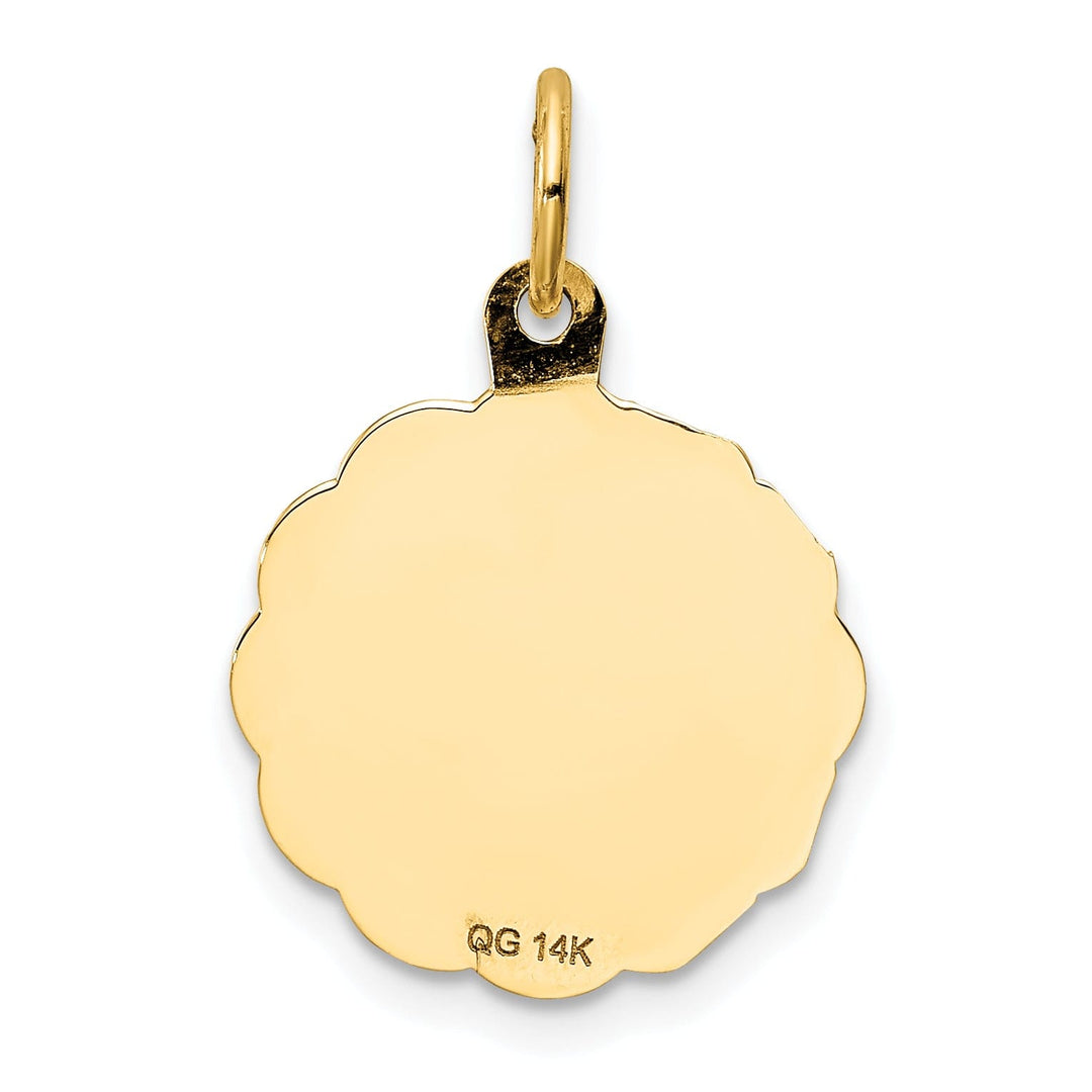 Lovely Rita's Pendants & Charms 14k Yellow Gold Polish My Confirmation with Dove Design Medal Pendant