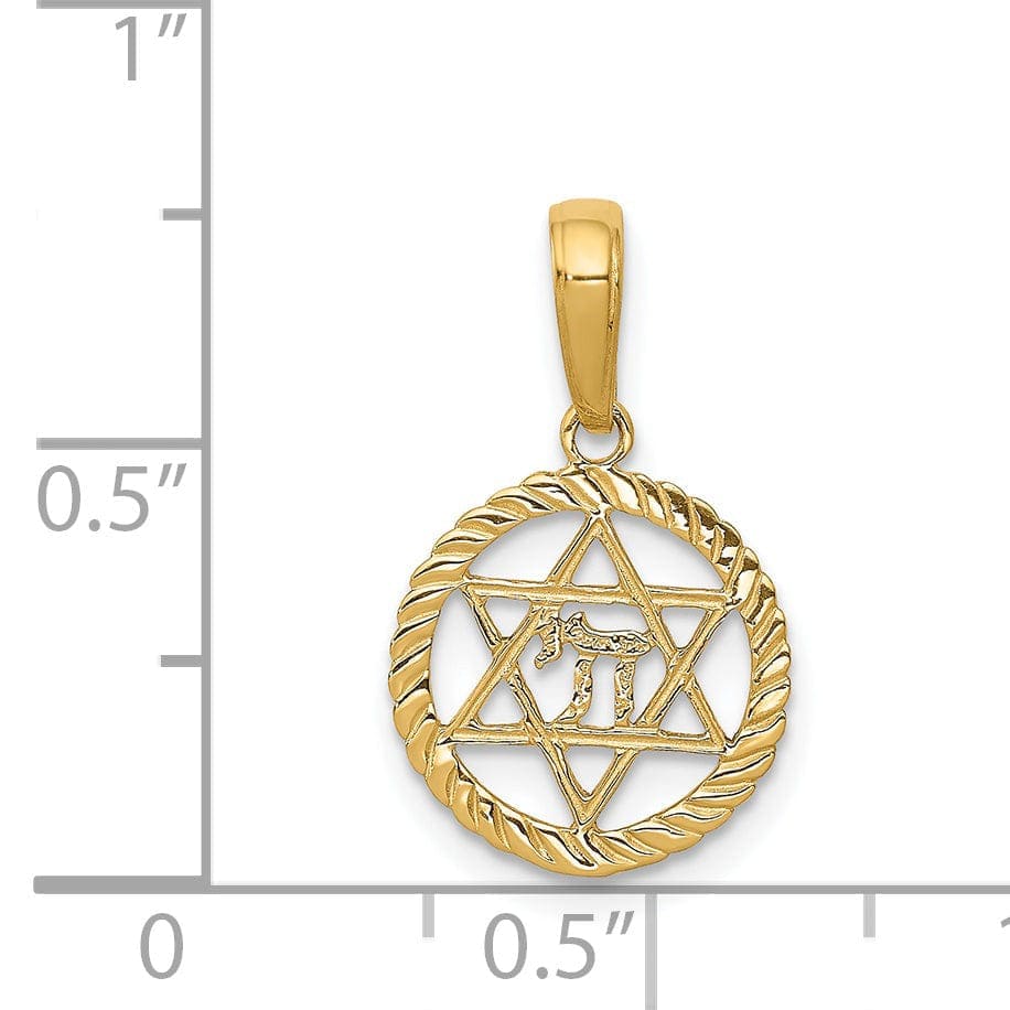 Lovely Rita's Pendants & Charms 14K Yellow Gold Polish Star of David and Chai in Circle Frame Pendant