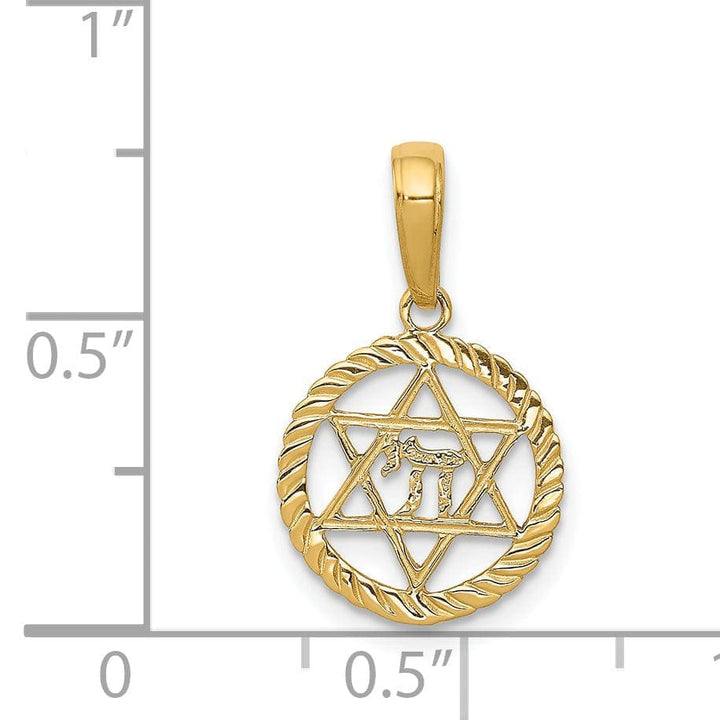 Lovely Rita's Pendants & Charms 14K Yellow Gold Polish Star of David and Chai in Circle Frame Pendant