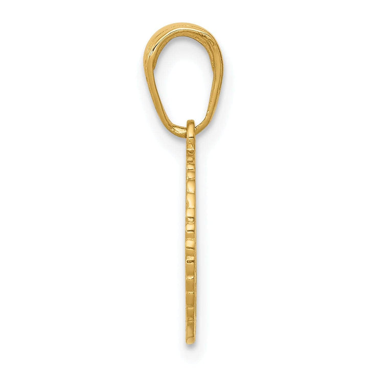 Lovely Rita's Pendants & Charms 14K Yellow Gold Polish Star of David and Chai in Circle Frame Pendant