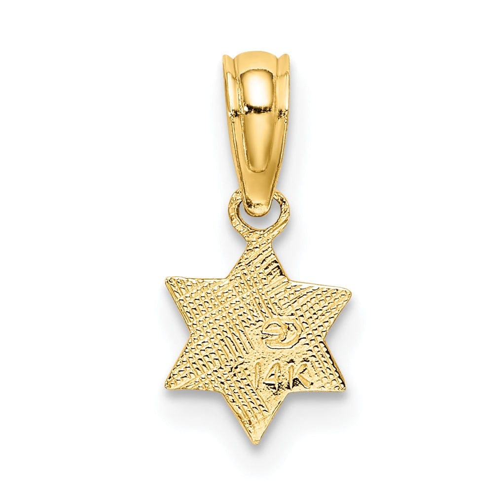 Lovely Rita's Pendants & Charms 14K Yellow Gold Polish Texture Finish Mini Small Star Of David Pendant