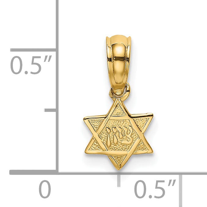 Lovely Rita's Pendants & Charms 14K Yellow Gold Polish Texture Finish Mini Small Star Of David Pendant