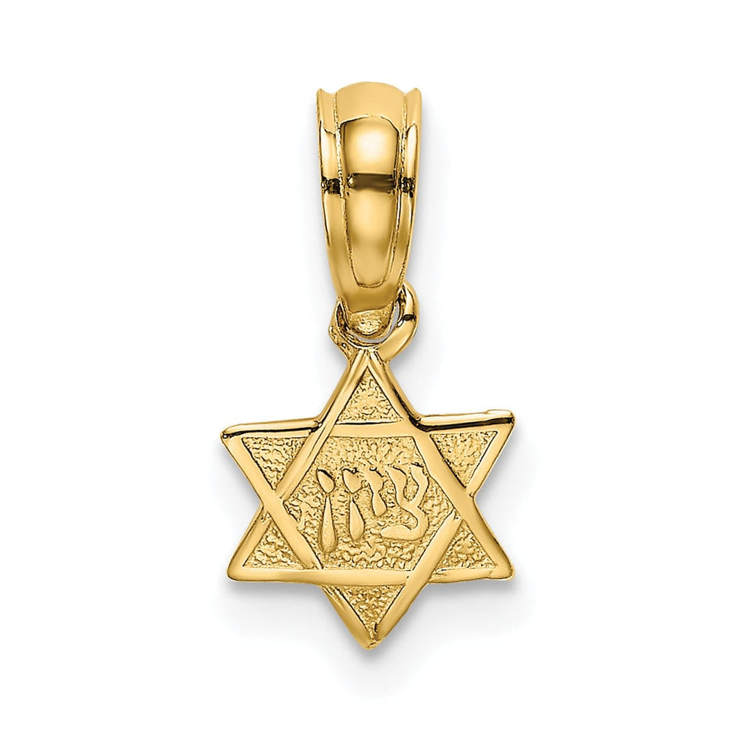 Lovely Rita's Pendants & Charms 14K Yellow Gold Polish Texture Finish Mini Small Star Of David Pendant