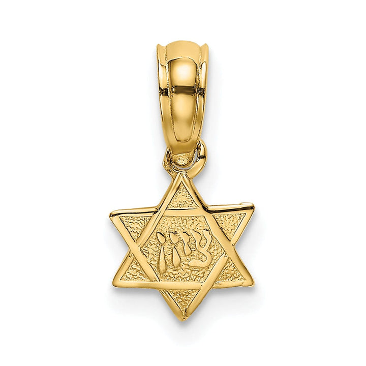 Lovely Rita's Pendants & Charms 14K Yellow Gold Polish Texture Finish Mini Small Star Of David Pendant