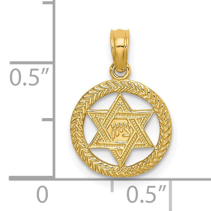 Lovely Rita's Pendants & Charms 14K Yellow Gold Polish Texture Finish Star Of David In Circle Pendant