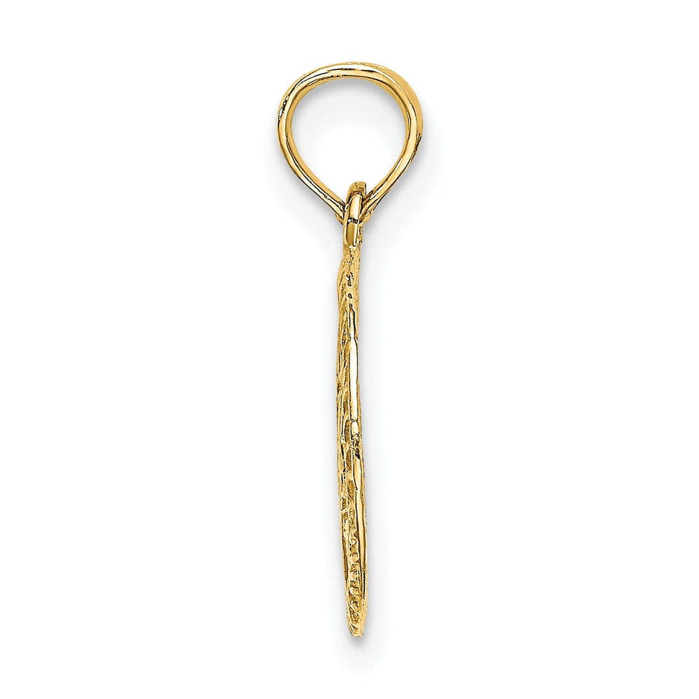 Lovely Rita's Pendants & Charms 14K Yellow Gold Polish Texture Finish Star Of David In Circle Pendant