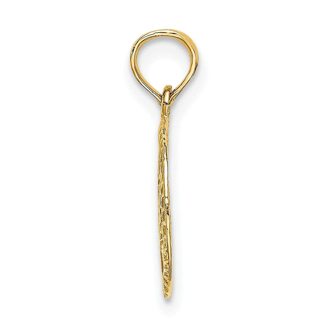 Lovely Rita's Pendants & Charms 14K Yellow Gold Polish Texture Finish Star Of David In Circle Pendant