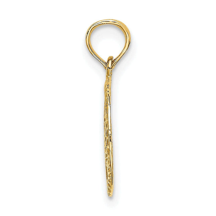 Lovely Rita's Pendants & Charms 14K Yellow Gold Polish Texture Finish Star Of David In Circle Pendant